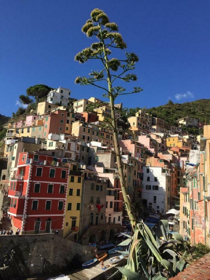 Sergeant First Class Riomaggiore Exterior foto